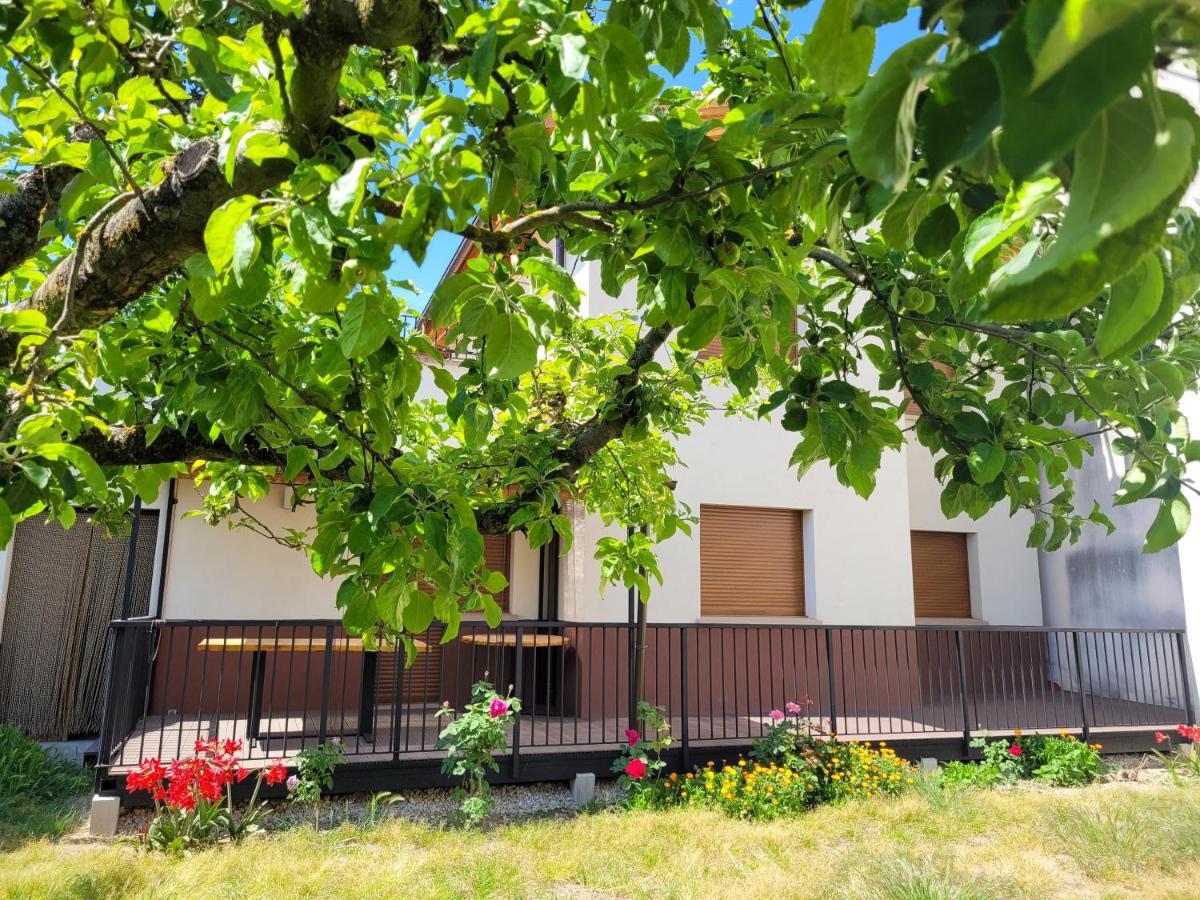 Casa Julio, Bonita Casa Comoda Y Espaciosa, Totalmente Reformada Con Terraza Y Jardin Privado Riezu Екстер'єр фото